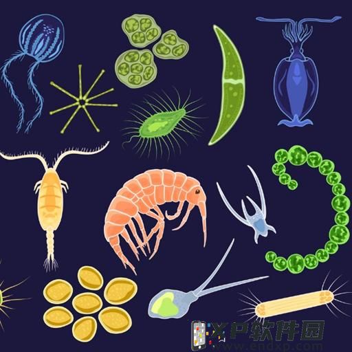 逆水寒手游微酸雨恋该怎么做 逆水寒手游微酸雨恋人间任务玩法攻略